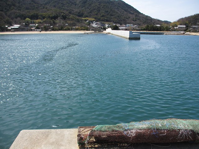 小豆島,釣りポイント,田井浜港